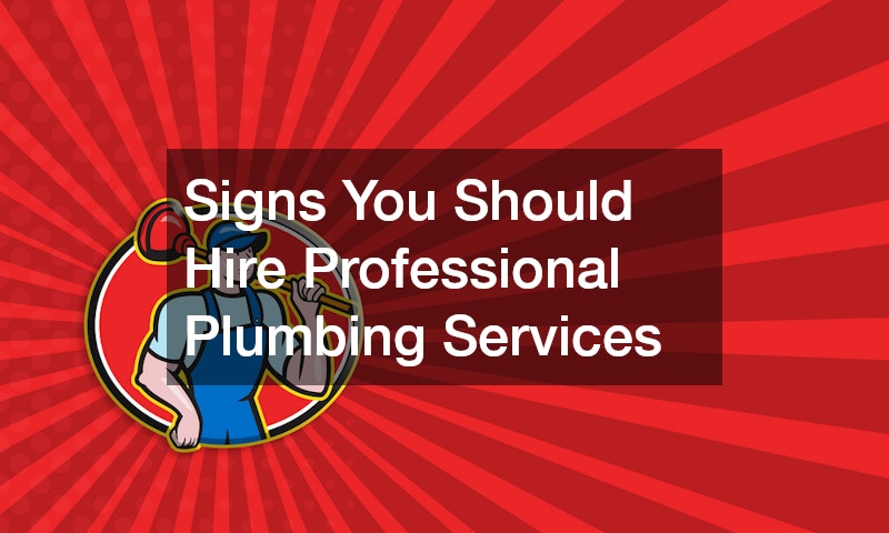 Signs You Should Hire Professional Plumbing Services