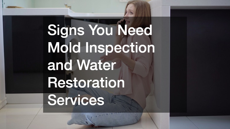 Signs You Need Mold Inspection and Water Restoration Services