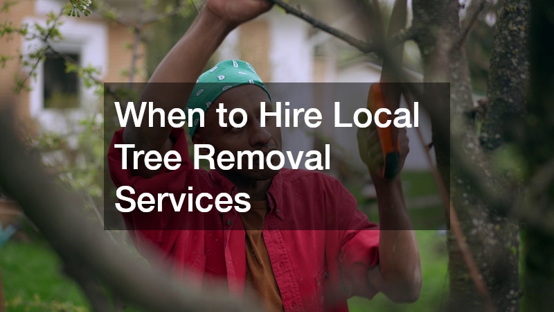 When to Hire Local Tree Removal Services